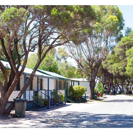 Discovery Parks - Coogee Beach מראה חיצוני תמונה
