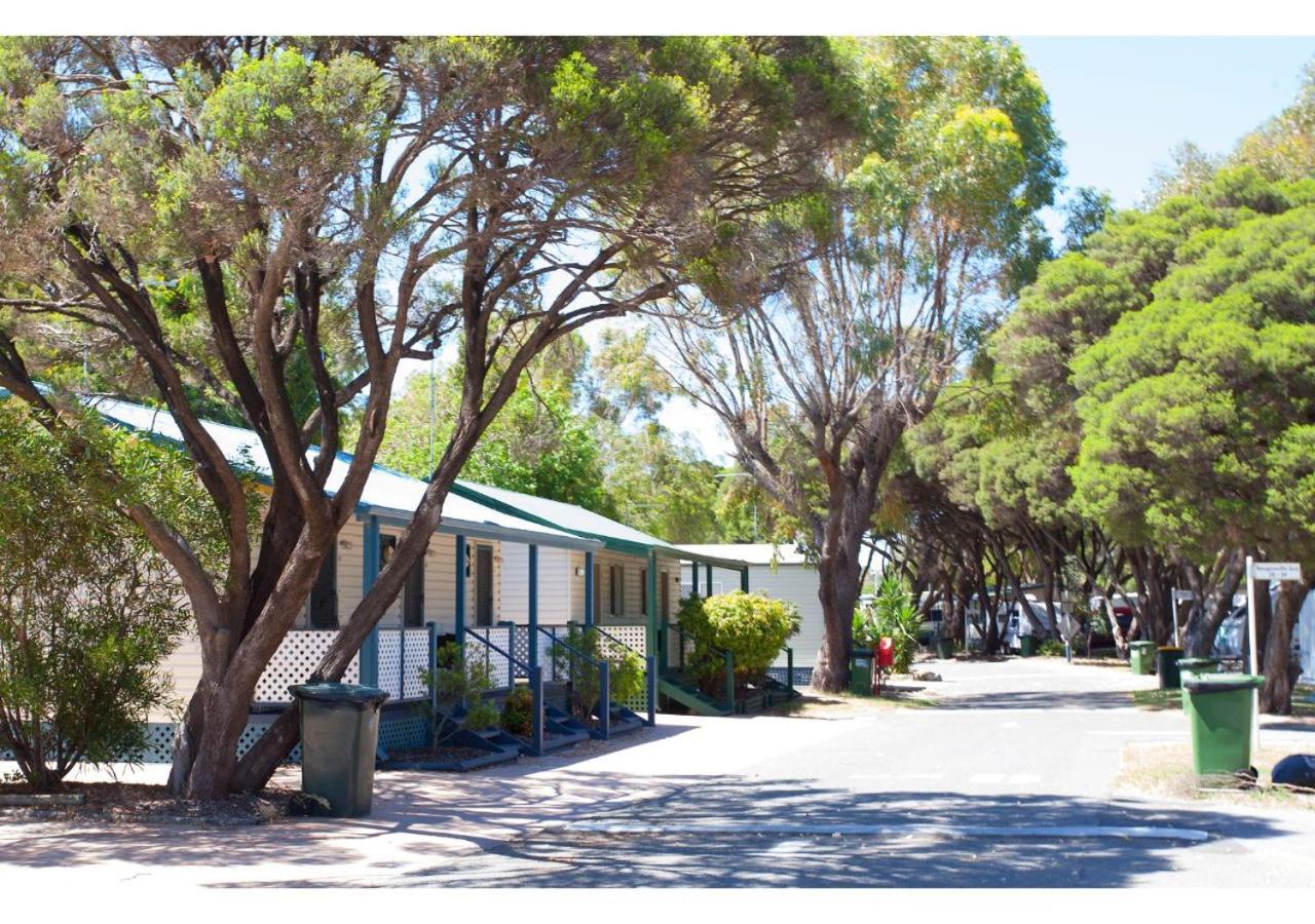 Discovery Parks - Coogee Beach מראה חיצוני תמונה